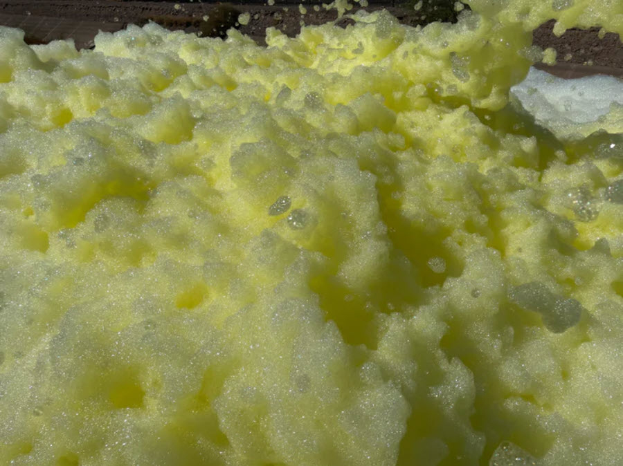 Yellow Foam Party